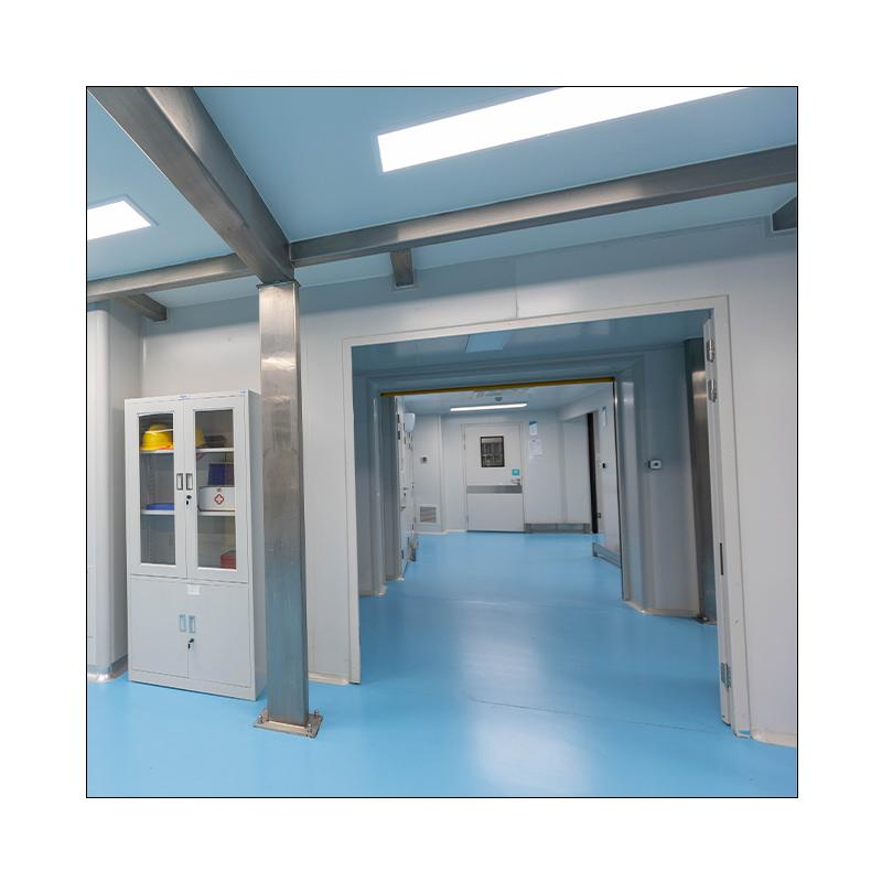 Customized Modular Cleanroom for Different Cleanliness Level ISO1-ISO8