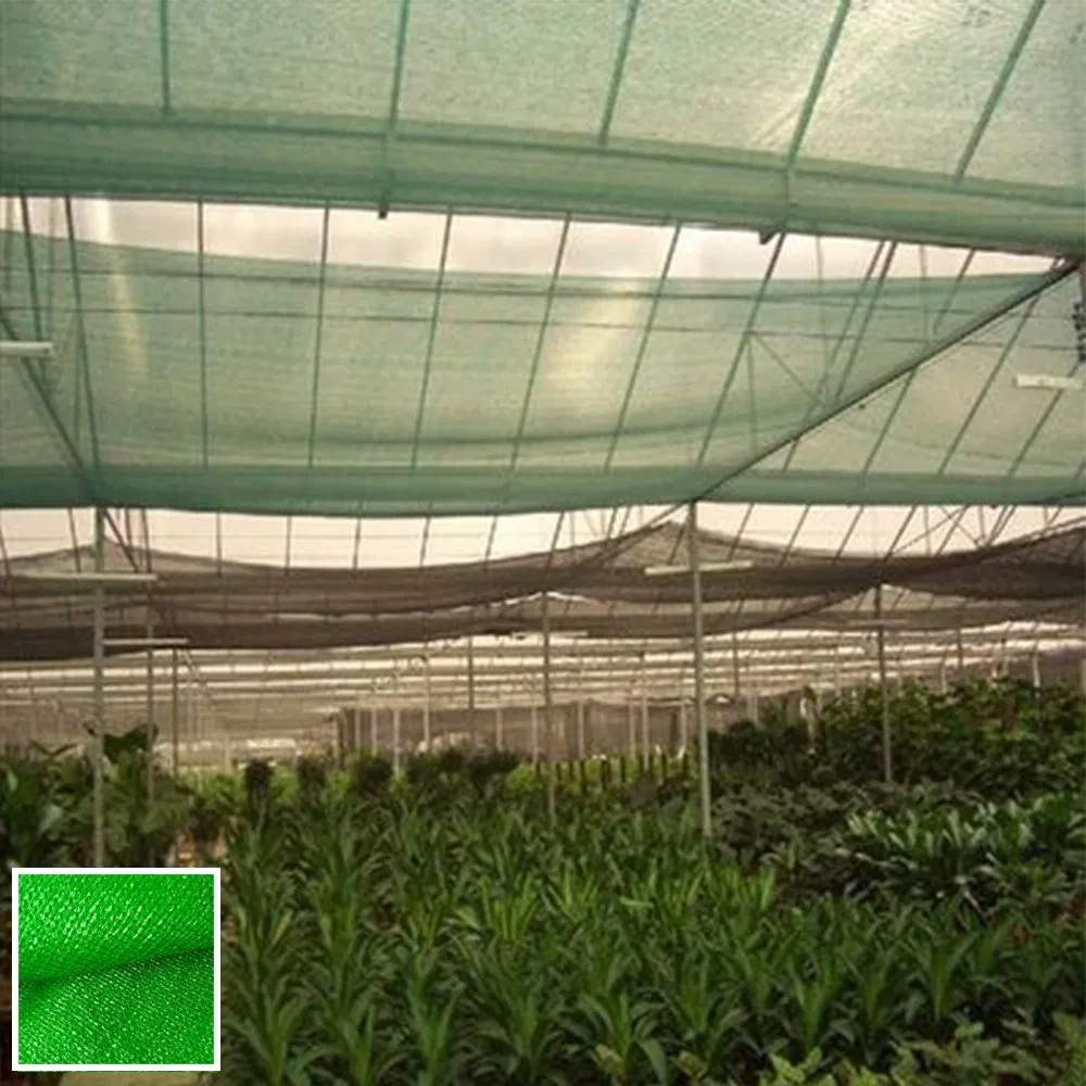 High Quality Chinese Factory Low Price Shade Net 30% ~ 95% Shading Rate HDPE Net with UV Resistance