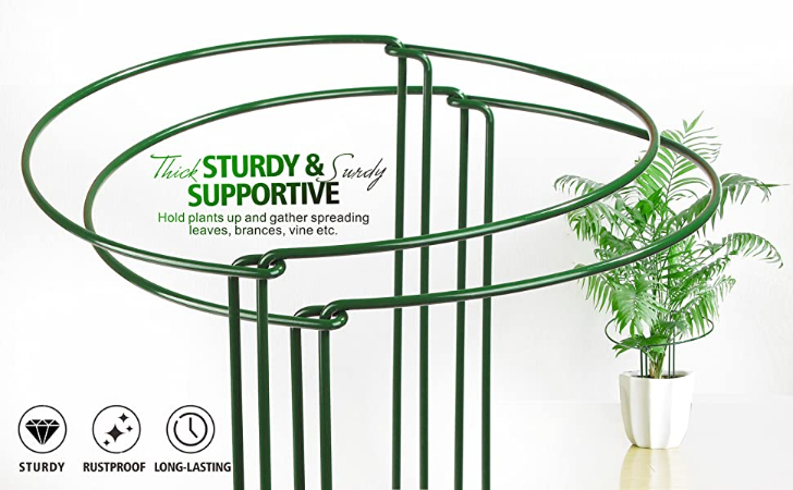 PVC Coated Steel Wire Garden Plant Support Holder