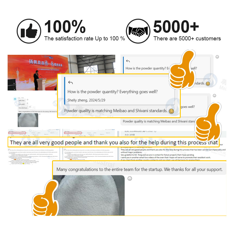Efficient Detergent Powder Machine Plant for Comprehensive Production Systems (Full Plan Available)