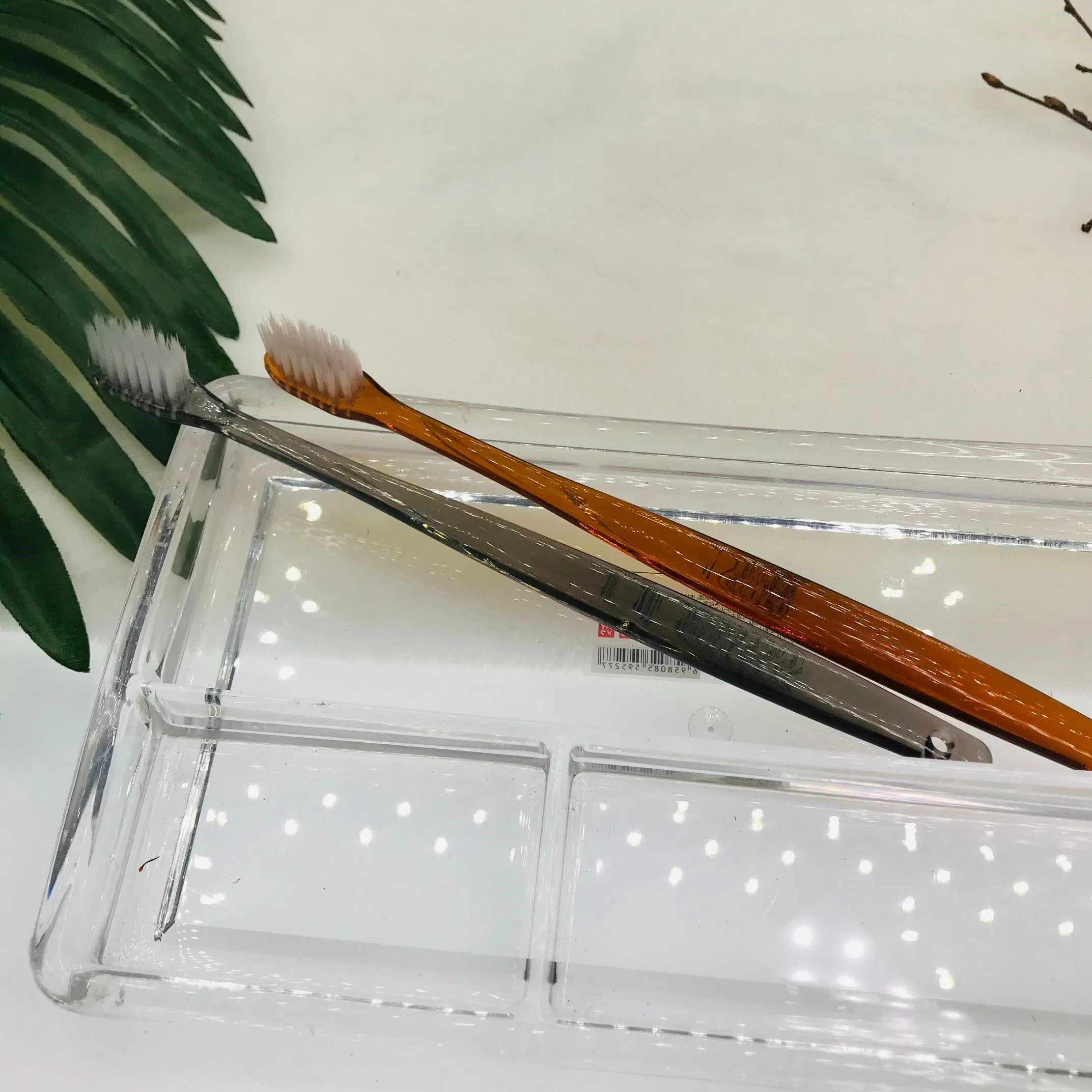 Hotel and Travel Wholesale Disposable Toothbrush Dental Kit 05