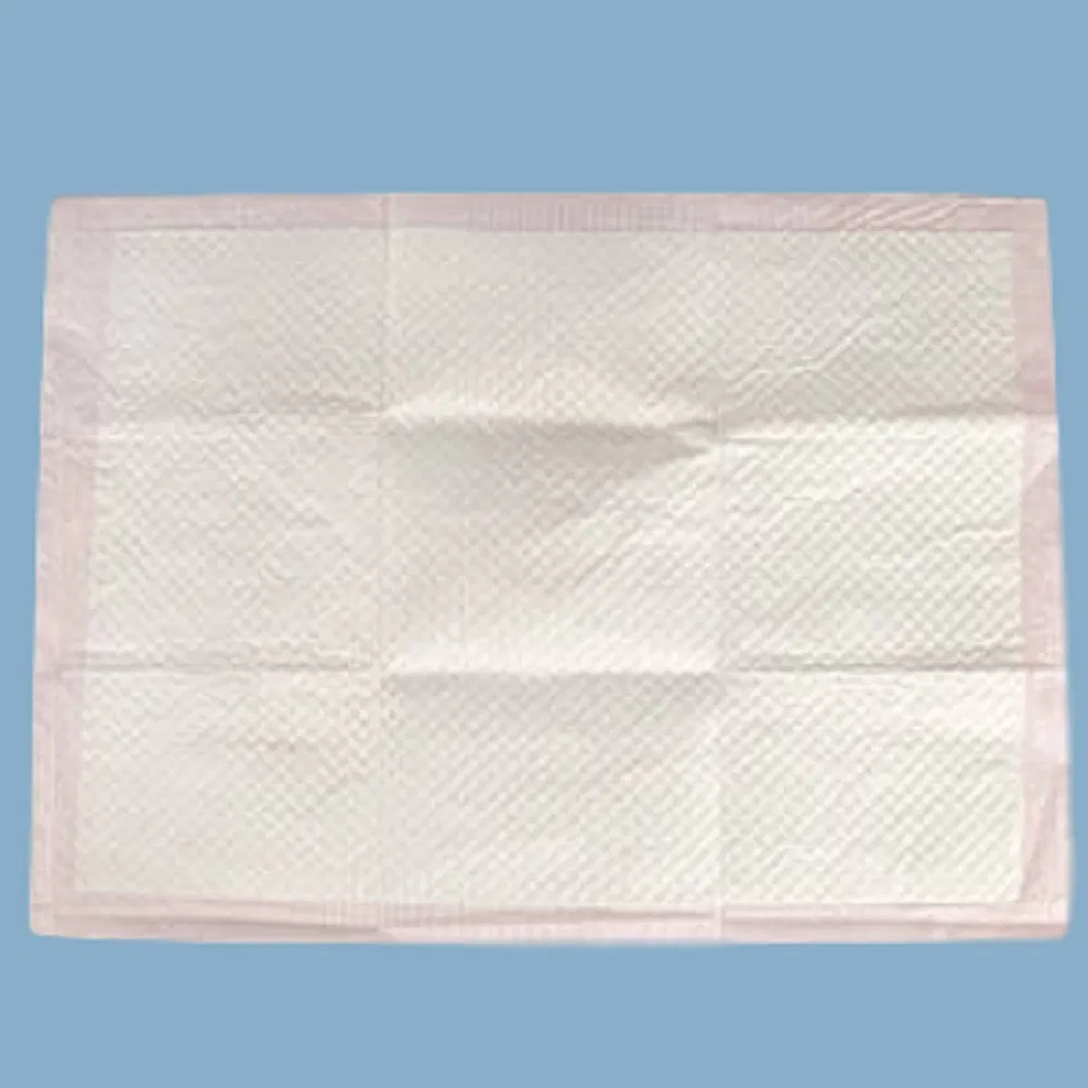 OEM High Absorbency Free Sample 30X36 60X90 60X60 60X45 Absorbent Disposable Underpads Incontinence Pad for Adult