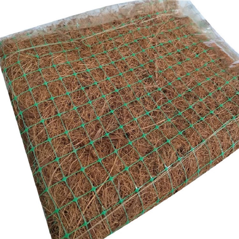 Tr 200GSM-1000GSM Customized Size Coconut/Coco Coir/Fiber Blanket/Mat for Slope Protection/Ecological Restoration/Soil Management