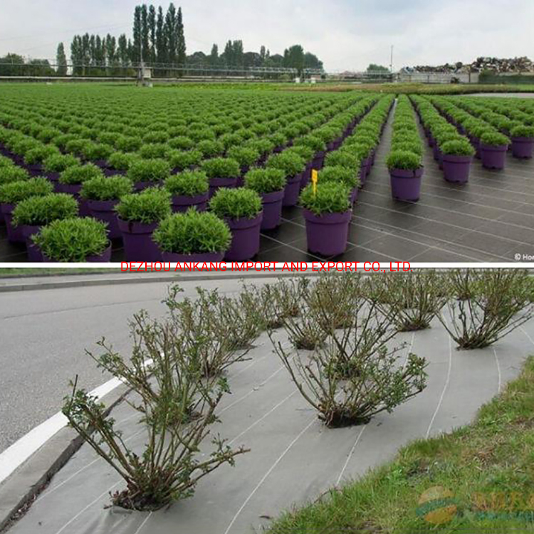 100GSM Anti Grass Control Mesh Weed Prevent Weed Prevent Cloth Weed Barrier Matarrier Mat