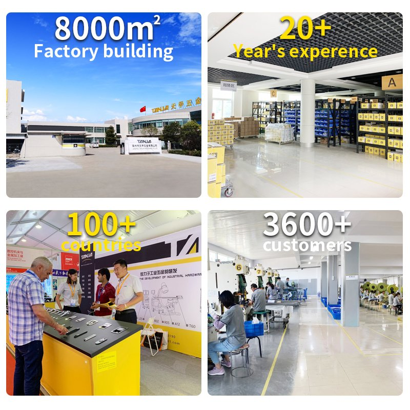 Adjustable Toggle Latch Zinc Plated / Polished Hasp Latch for Vehicle/ Packing Case