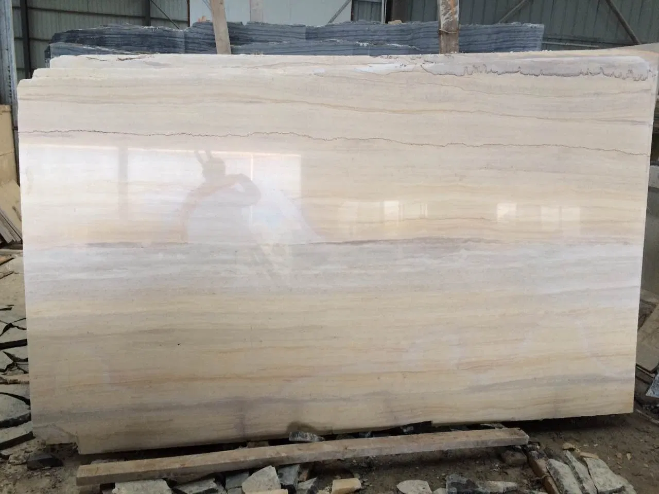 Popular Natural Ginkgo Wood Marble Slab and Tile for Hotel Wall Floor Decorate