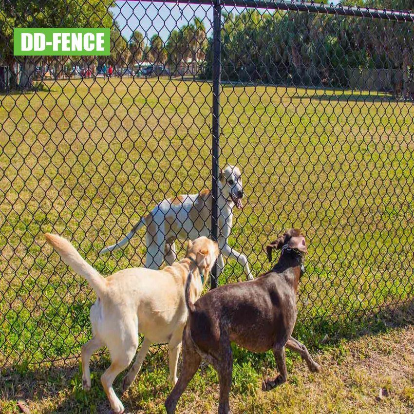 Factory Sale Sport Playground Garden Diamond Wire Mesh Chain Link Fence