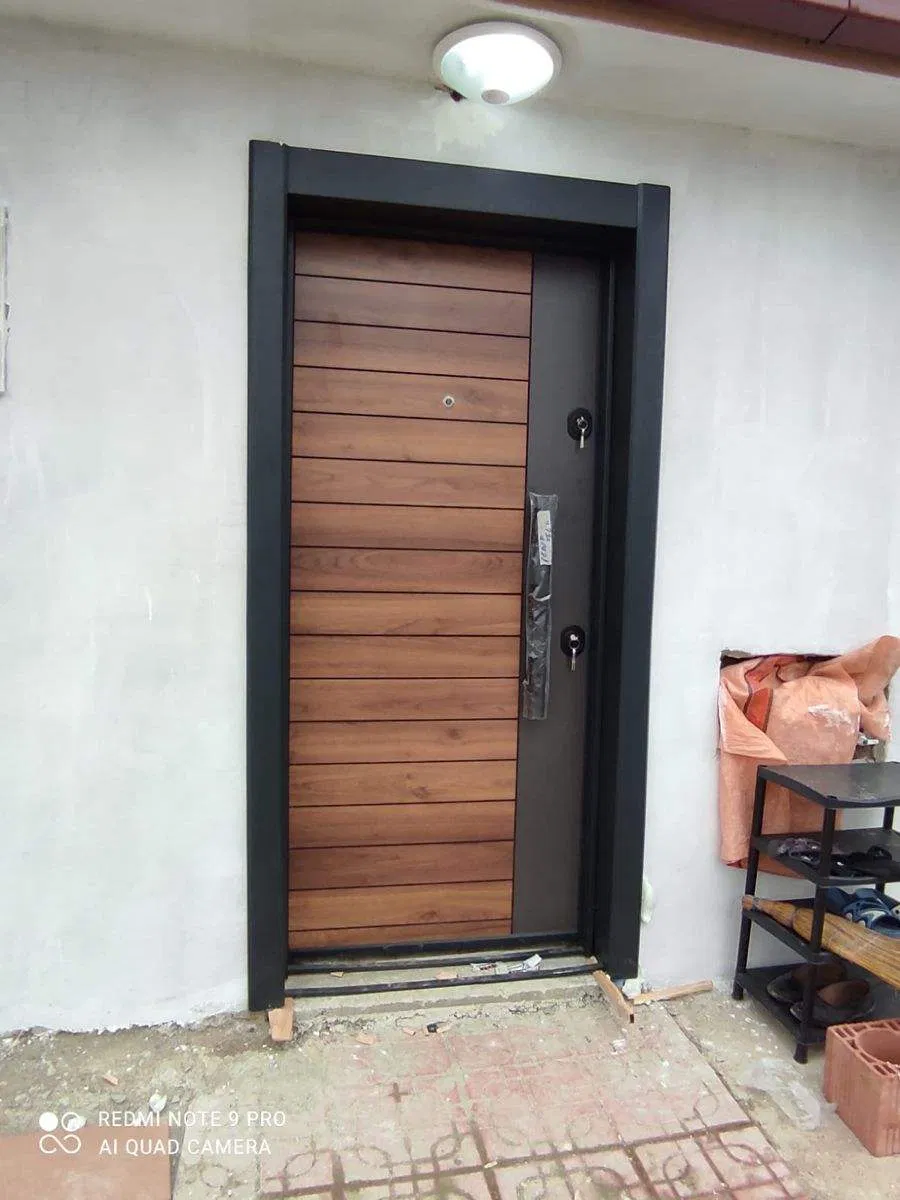 Hitech Exterior Stainless Steel Pivot Door Luxury Design Main Entrance Mental Door Steel Security Front Door Exterior for Home