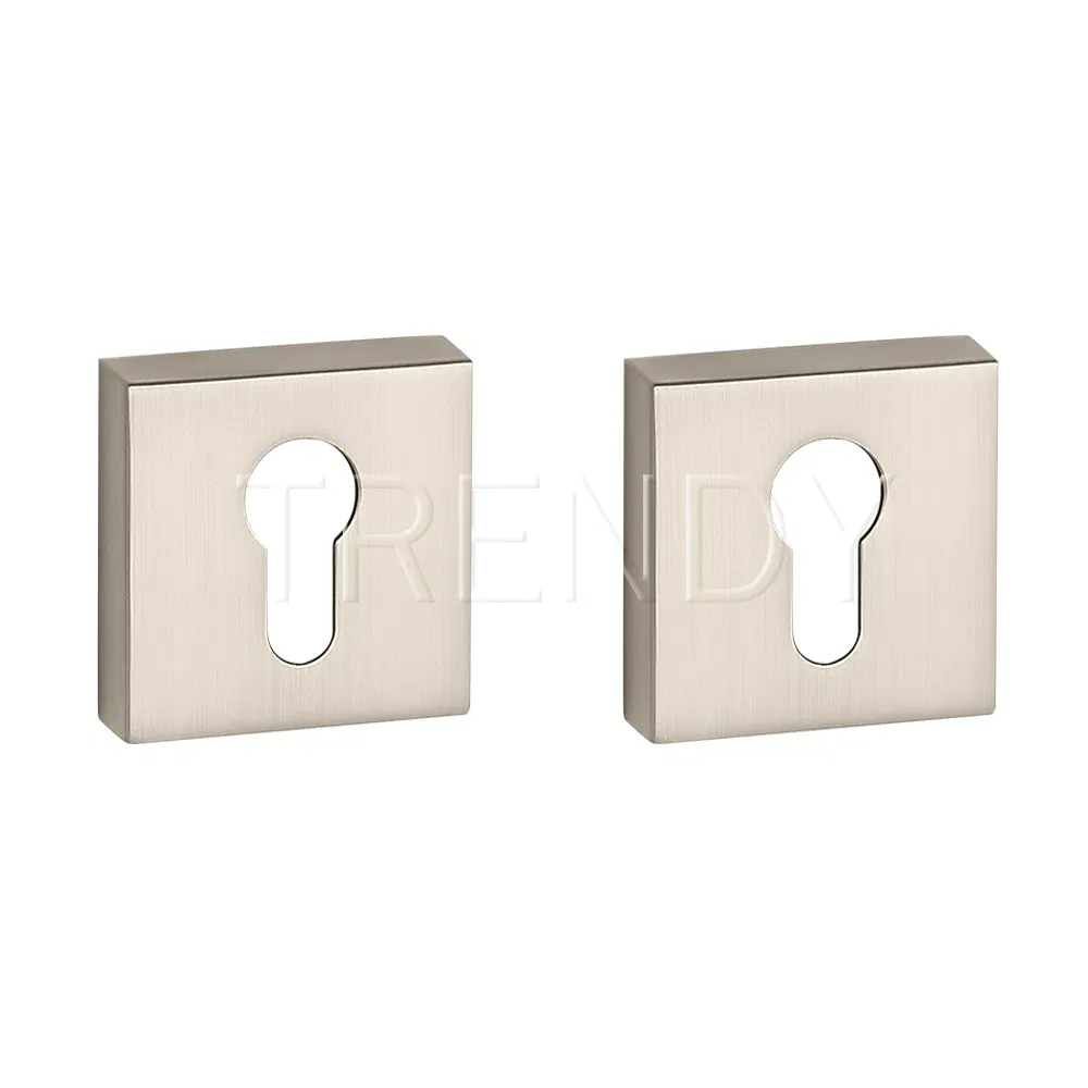Square Cylinder Rosette Zinc Alloy Escutcheon Cylinder Base Lock Cover (ZR27-CL)