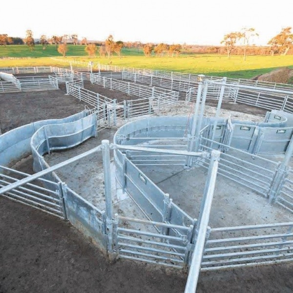 Portable Agricultural Sheep Yards with Goat Gates of Good Quality for Sale