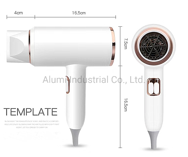 Professional Hair Dryer 1800W for Hotel Travel Hair Dryer