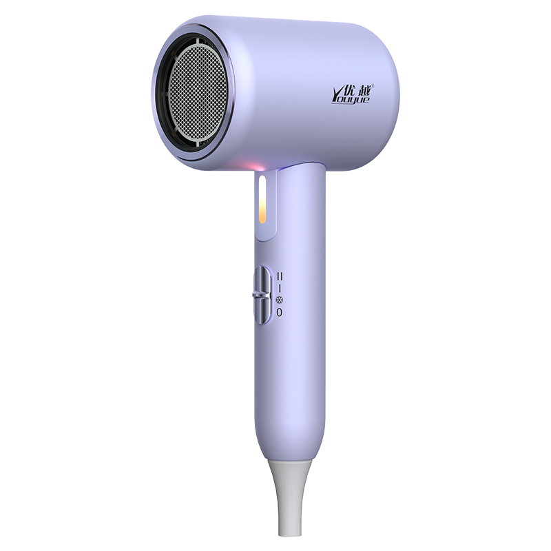 High Power Home Hair Dryer Thermostatic Material Foldable Negative Hairdryer