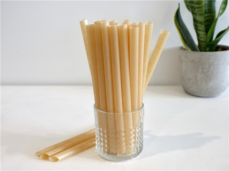 Eco Biodegradable Juice Milk Shake Cold Drinking Clear 16oz Disposable Plastic PLA Cups with Lids and Straws