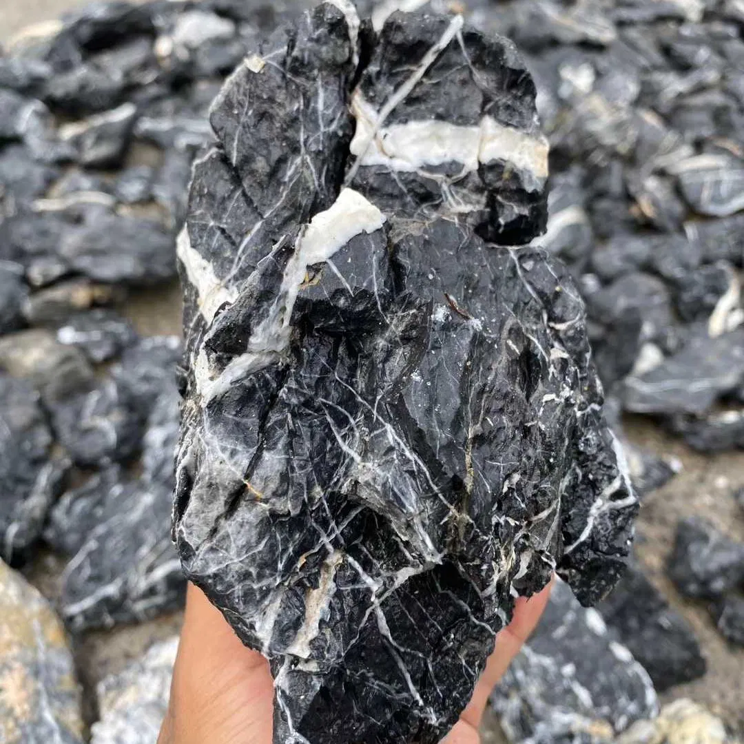 Natural Aquascaping Seiryu Stone for Aquariums and Terrariums