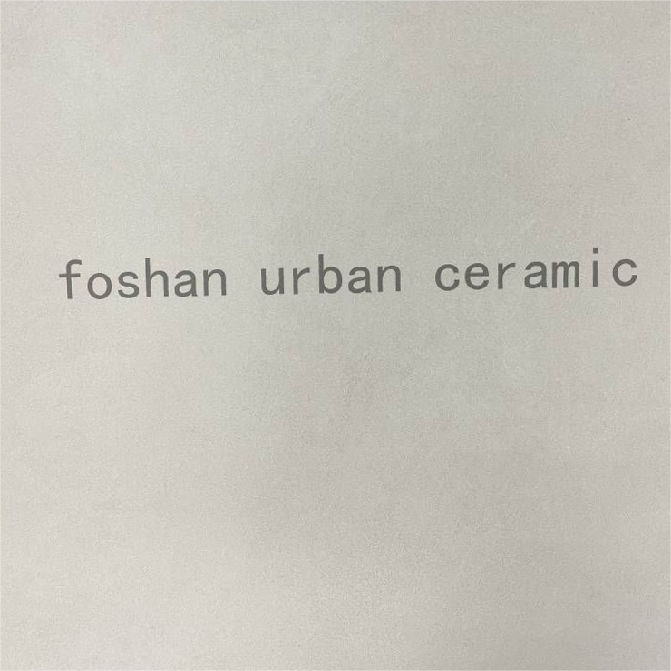 Factory Price Fast Loading 600*600mm Building Material Matt Floor Wall Tiles