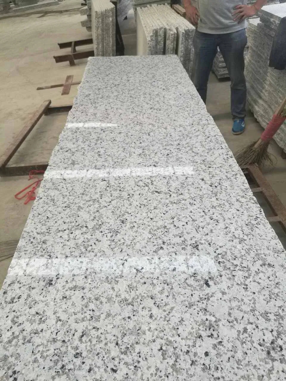 Hot Sale Natural White Flower Polished Granite for Train Station
