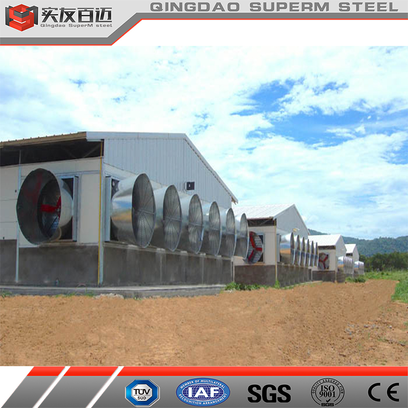 Hot Sale Prefabricated Steel Structure Poultry House for Chicken Broiler Shed