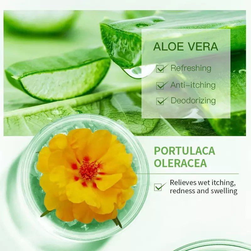 Natural Aloe Vera Extracts Body Care Whitening Exfoliating Moisturizing Anti-Bacterial Bath Supplies Wholesale Factory Price Deep Cleansing Body Wash