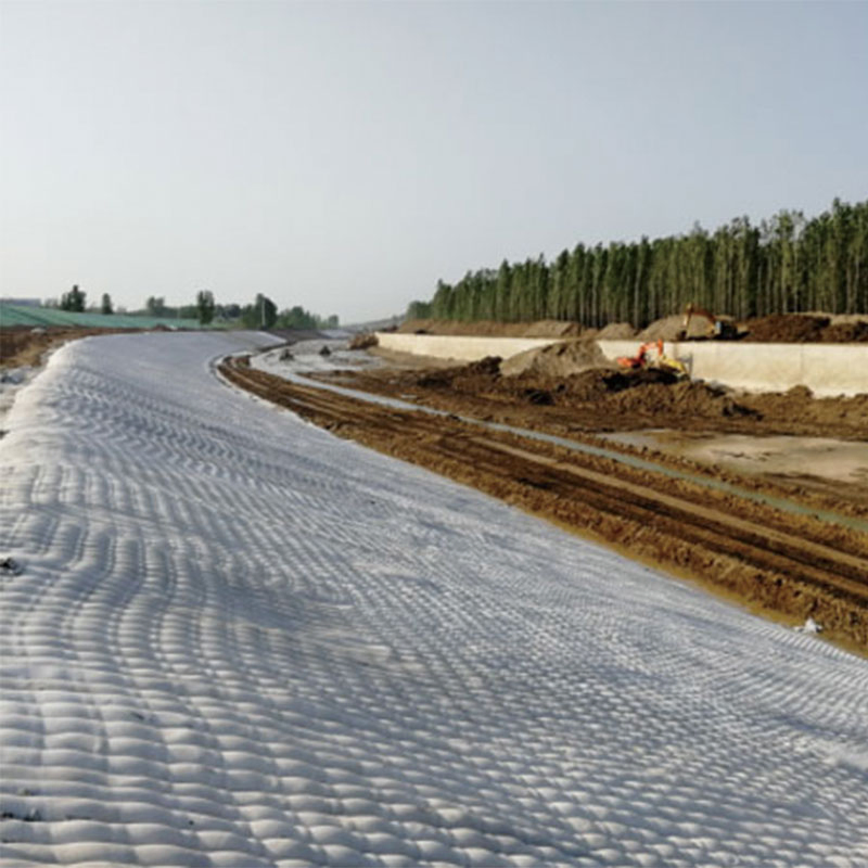 Strong Geosynthetics Fabric Formed Concrete Applied in Large - Scale Dam Building