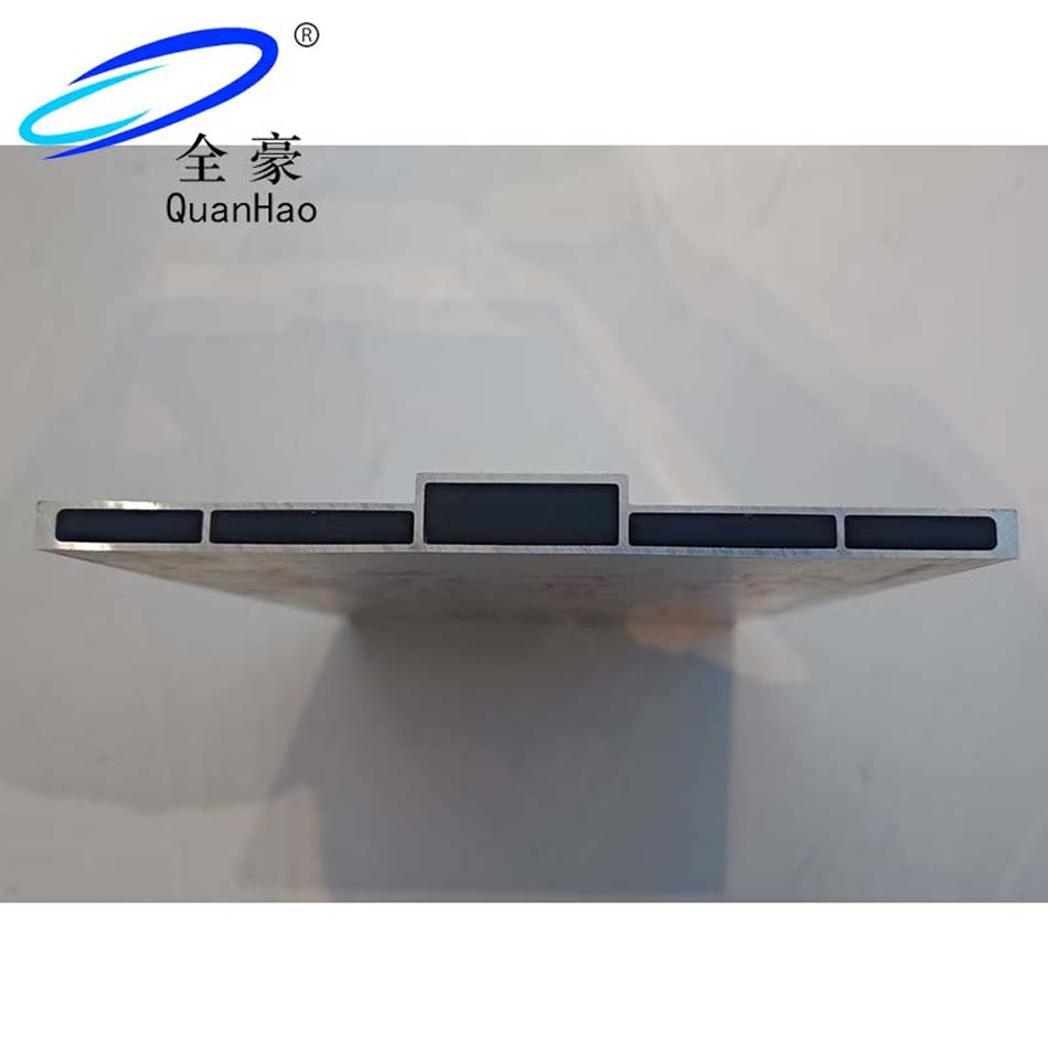 Customized Good Heat Shockproof Aluminum Alloy Fxtrusions for Cutting-Edge Electric Car Manufacturing