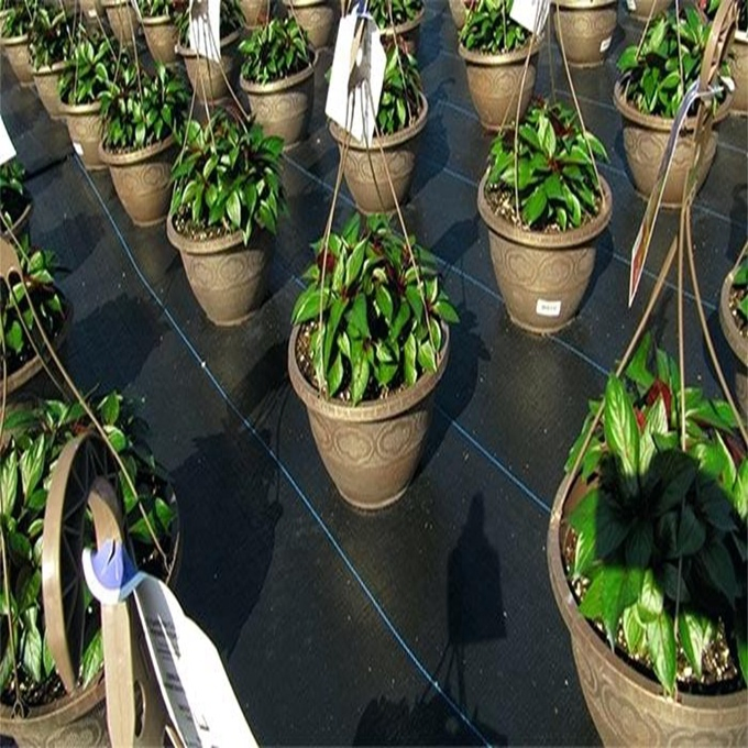 China Direct Factory Weed Control Fabric /Weedstop Fabric /PP Woven Ground Cover