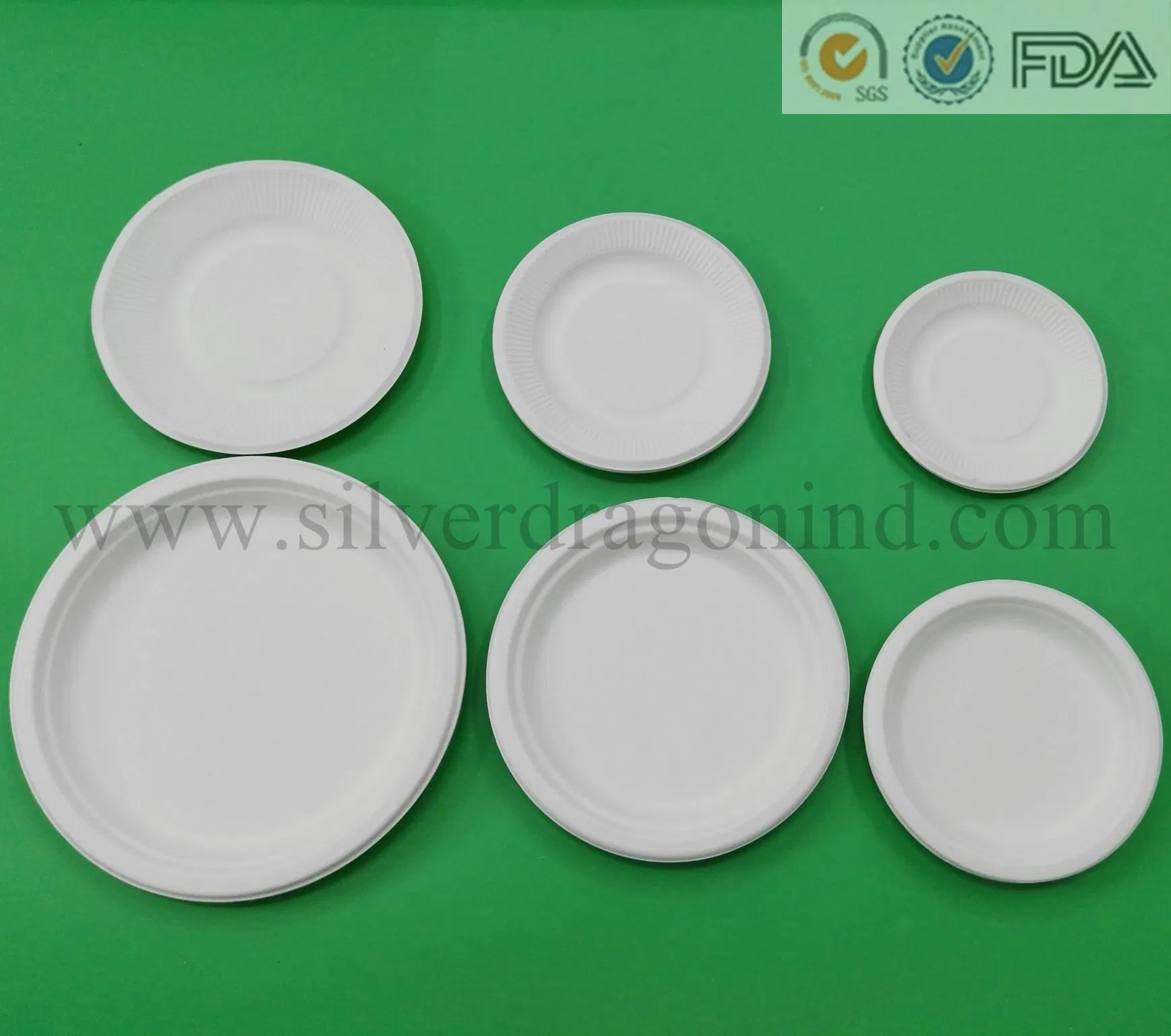 Sugar Cane Pulp Square Plate