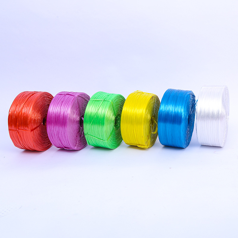 Factory Packing Raffia Rope in China