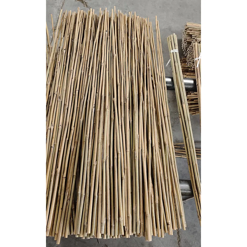 Tonkin Natural Bamboo Stake 1FT 2FT 3FT Length Eco-Friendly Support Plant Bamboo Pole Cane Bamboo Stick for Garden Nursery Plant Support