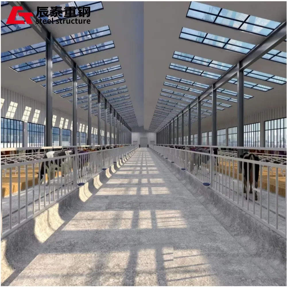 Gantry Steel Frame Steel Structure Poultry Farm to Achieve Efficient and Hygienic Poultry Breeding