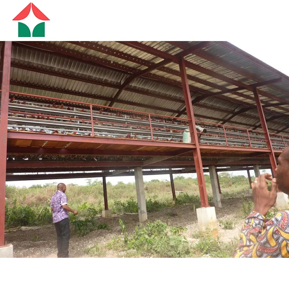 Prefabricated Light Prefab Steel Structure Farmhouse 125*15*3m Poultry Farm Chicken House Broiler Shed