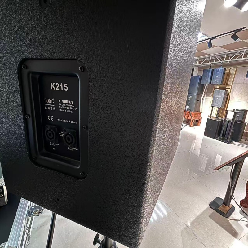 Domc K210 10-Inch Speaker, 50Hz-20kHz, 300W AES Rated