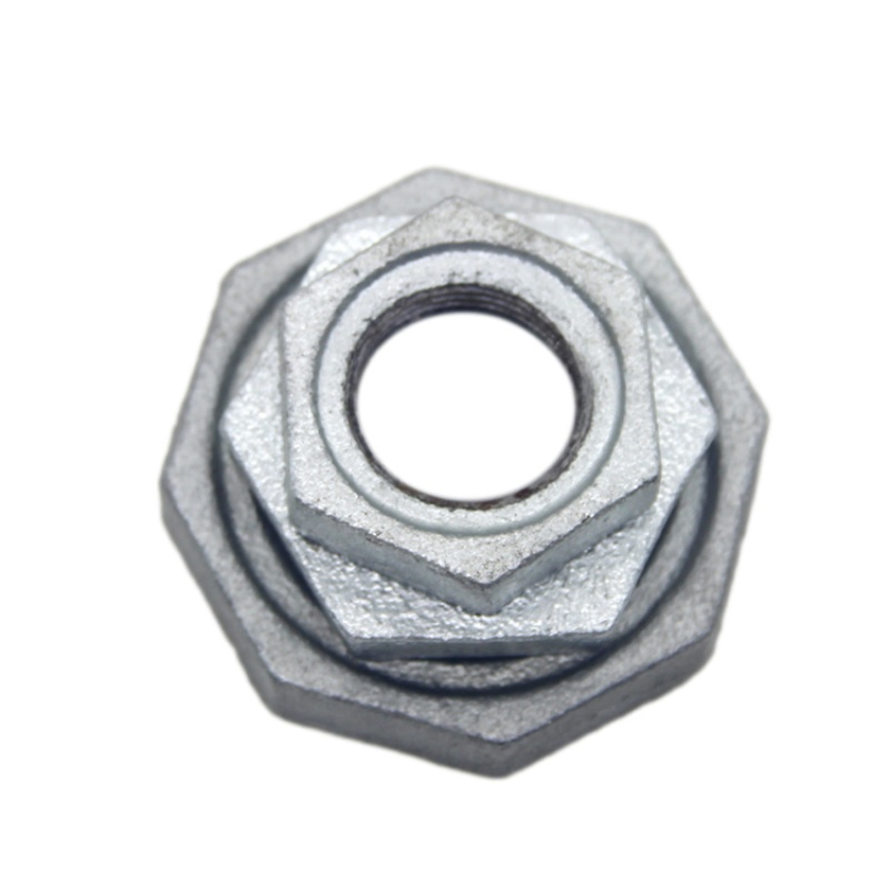 Hot-DIP Galvanized Malleable Iron Pipe Fitting Backnut Connecting with Tubes for Sanitary