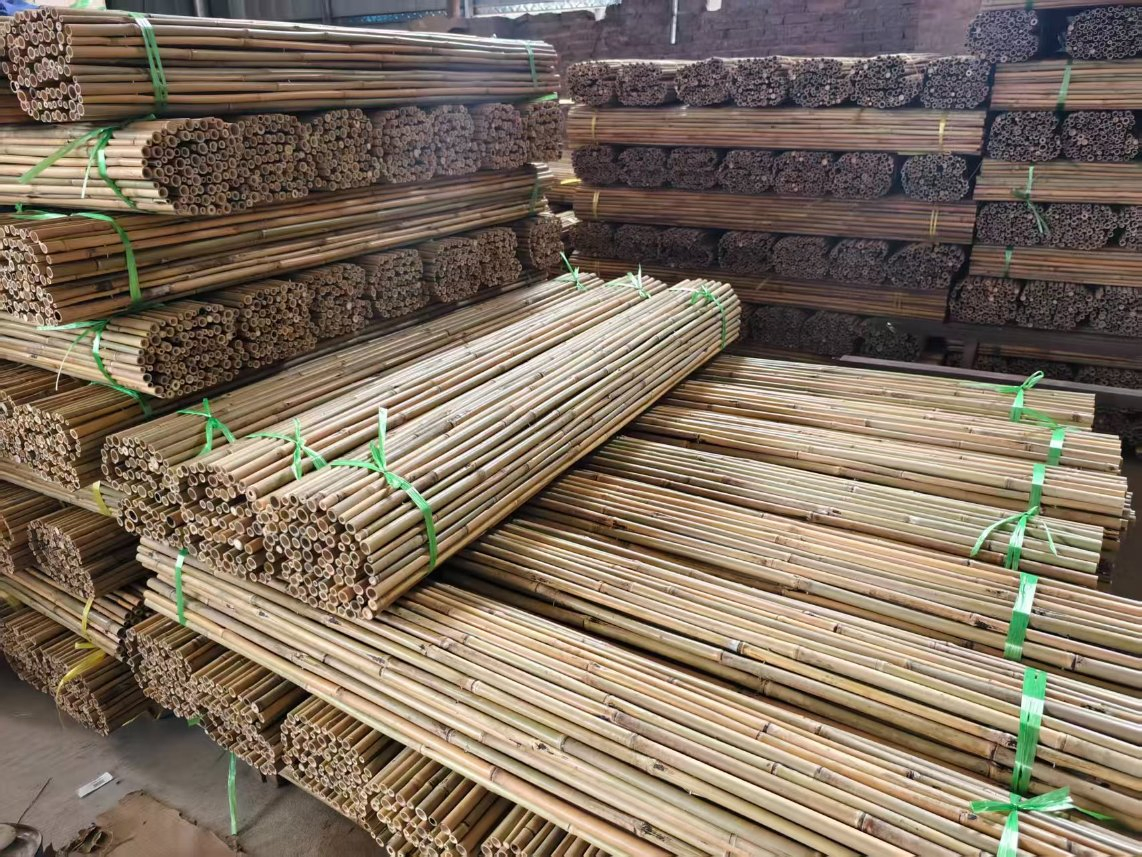 Bamboo Pole Great for Crafts, Fencing, or Decorative Use