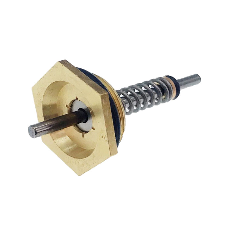 Gas Water Heater Spare Parts CKD Valve Thimble Spring Pin Needle
