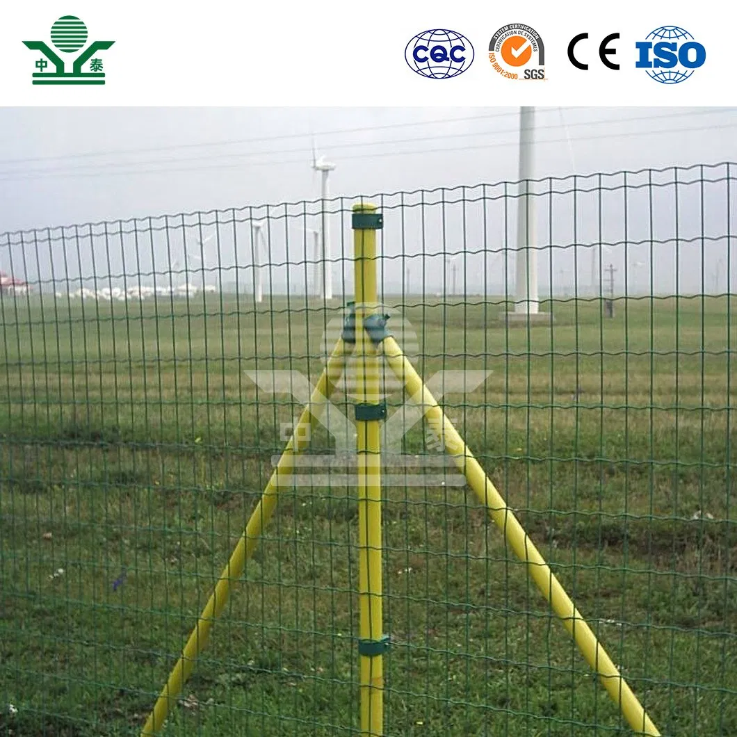 Zhongtai Dutch PVC-Coated Wire Mesh Fence China Manufacturing Dutch Holland Wire Mesh 5 - 25 M Length Dutch Wire Mesh Garden Fence