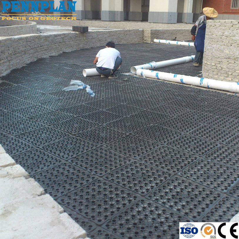 HDPE Drainage Sheet High Quality Dimple Drain Board Wholesale Price