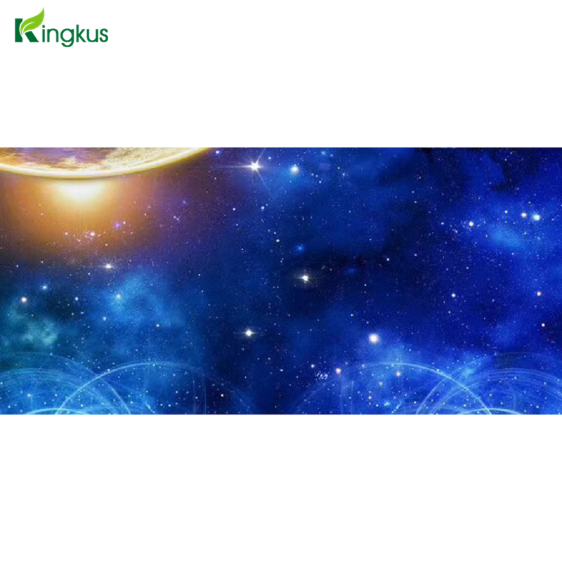 Full Printing Pet Polyester Fiber Acoustic Panel