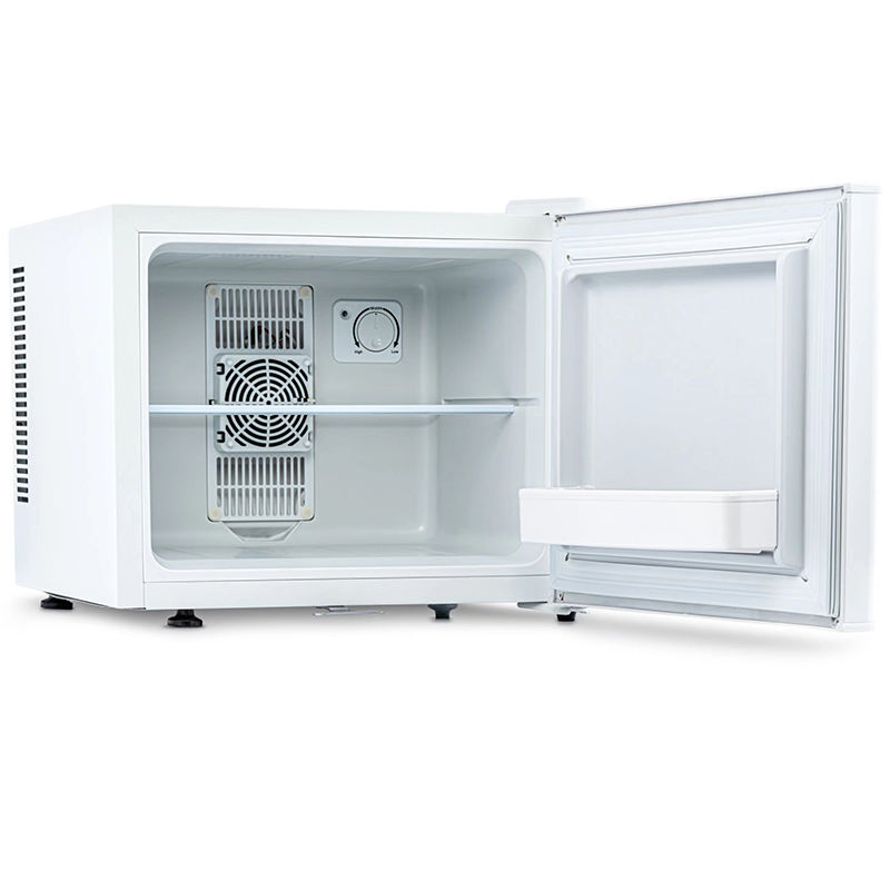 Wholesale 20L Electric Medical Fridge Hotel Bedroom Mini Fridge Customized Fridge Cooler Gbc-20A