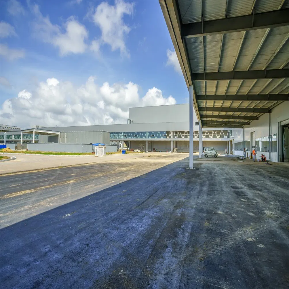 Customized Steel Structure Precision Projects According to Buyer's Requirements: Steel Structure Workshops, Factories, Office Buildings