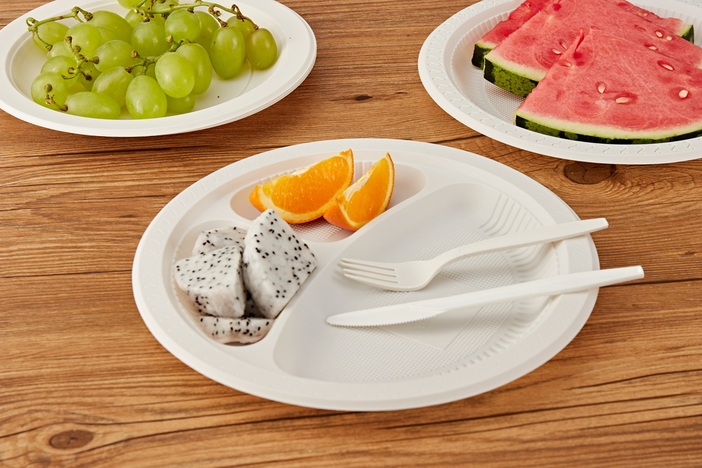 Biodegradable Eco Friendly Disposable Plates 10 Inch for Meal Party Camping Picnic