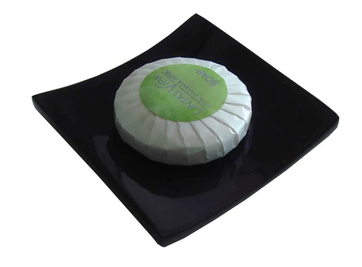 Hot Sale Hotel Bathroom Black Shiny Resin Soap Dish