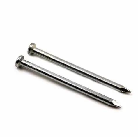Hot Dipped Galvanized Polished Smooth Shank Common Iron Wood Nail/Clavos for Building