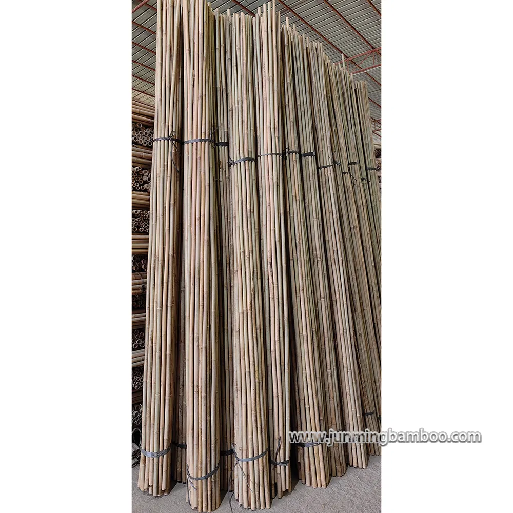 Tonkin Bamboo Cane Garden Stake Tsinglee Nature Raw Bamboo Poles Cheap Price Dia. 22/24mm X 300cm