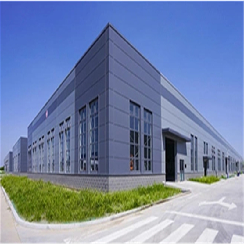 Multi-Layer Steel Structure Building for Poultry Farm