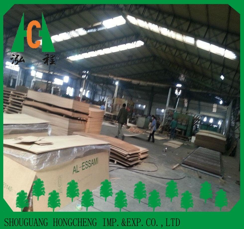 Wood Veneer Raw or Melamine MDF/HDF Moulded Door Skin
