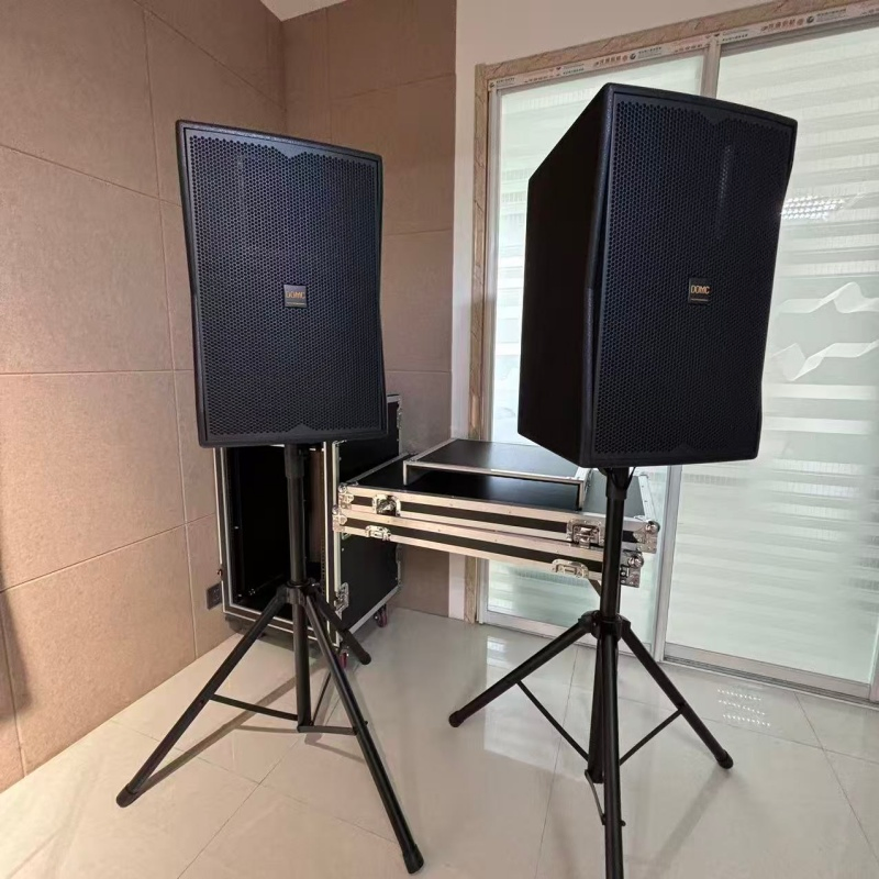High Sensitivity 95dB/M/W 10-Inch Domc K210 Speaker System