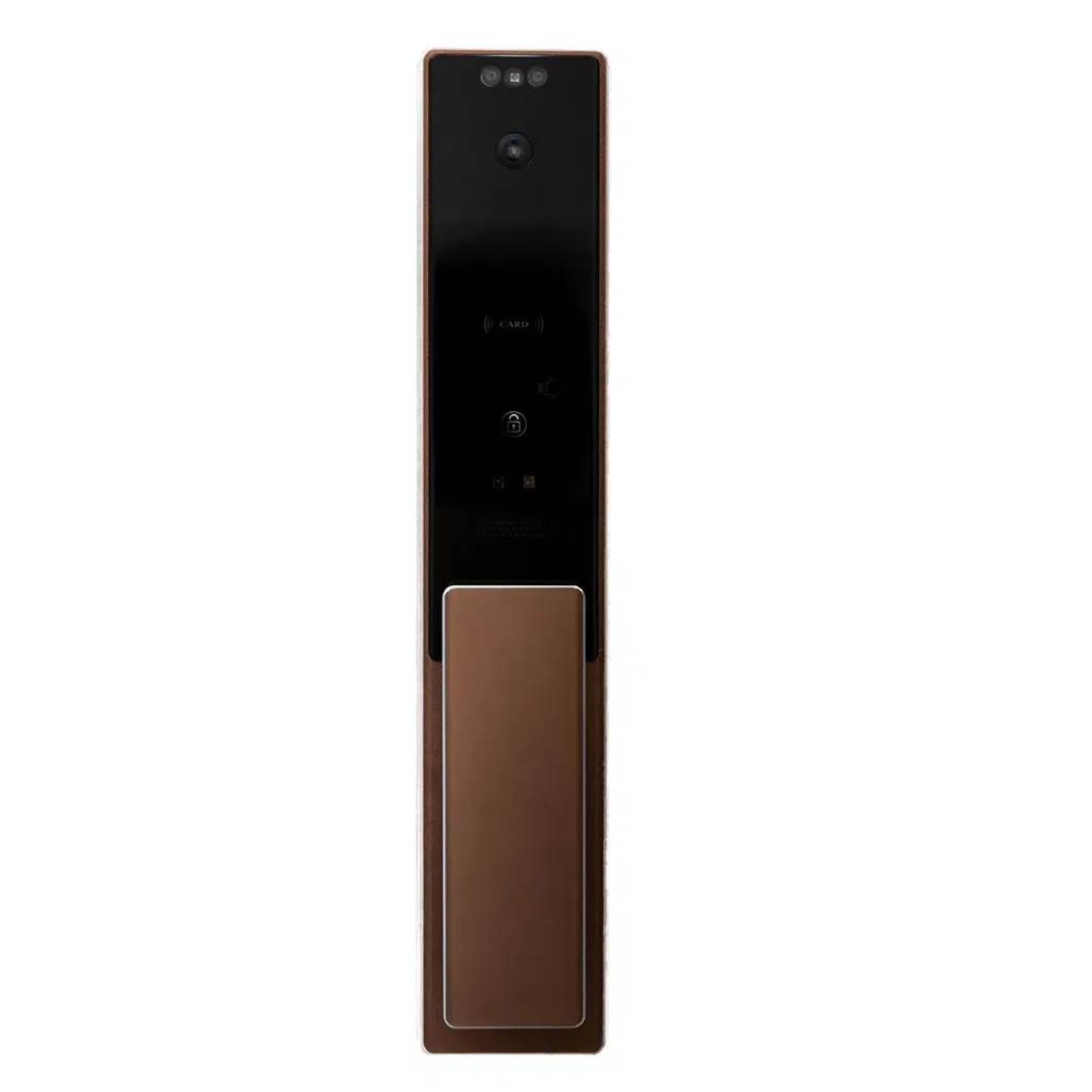 Home Digital Face Recognition Password Swipe Card Temporary Password Remote Unlock Mobile Phone Smart Fingerprint Lock