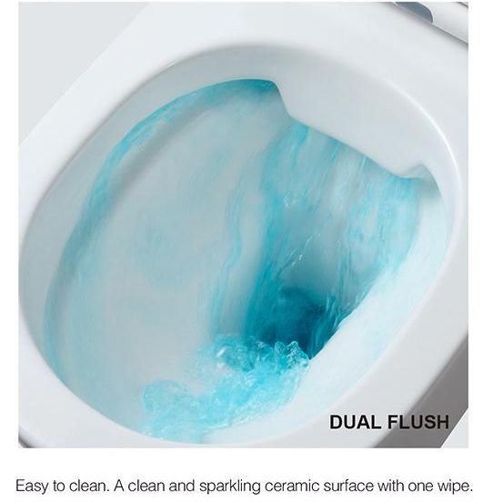 CE/Watermark Ceramic Sanitary Ware Washdown P Trap Two Piece Coulpe Toilet