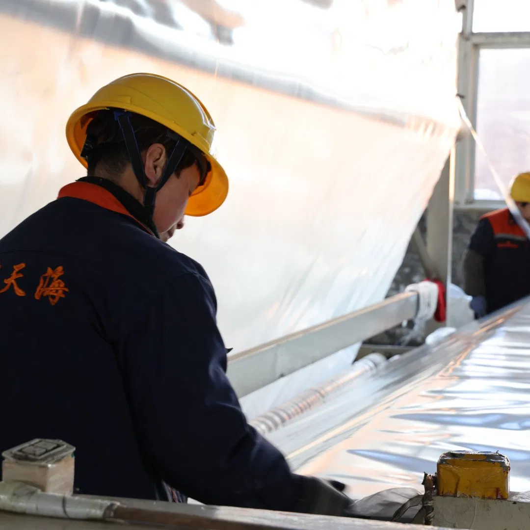 600GSM PET Filament Geotextile Composite Geo Membrane for Aquaculture