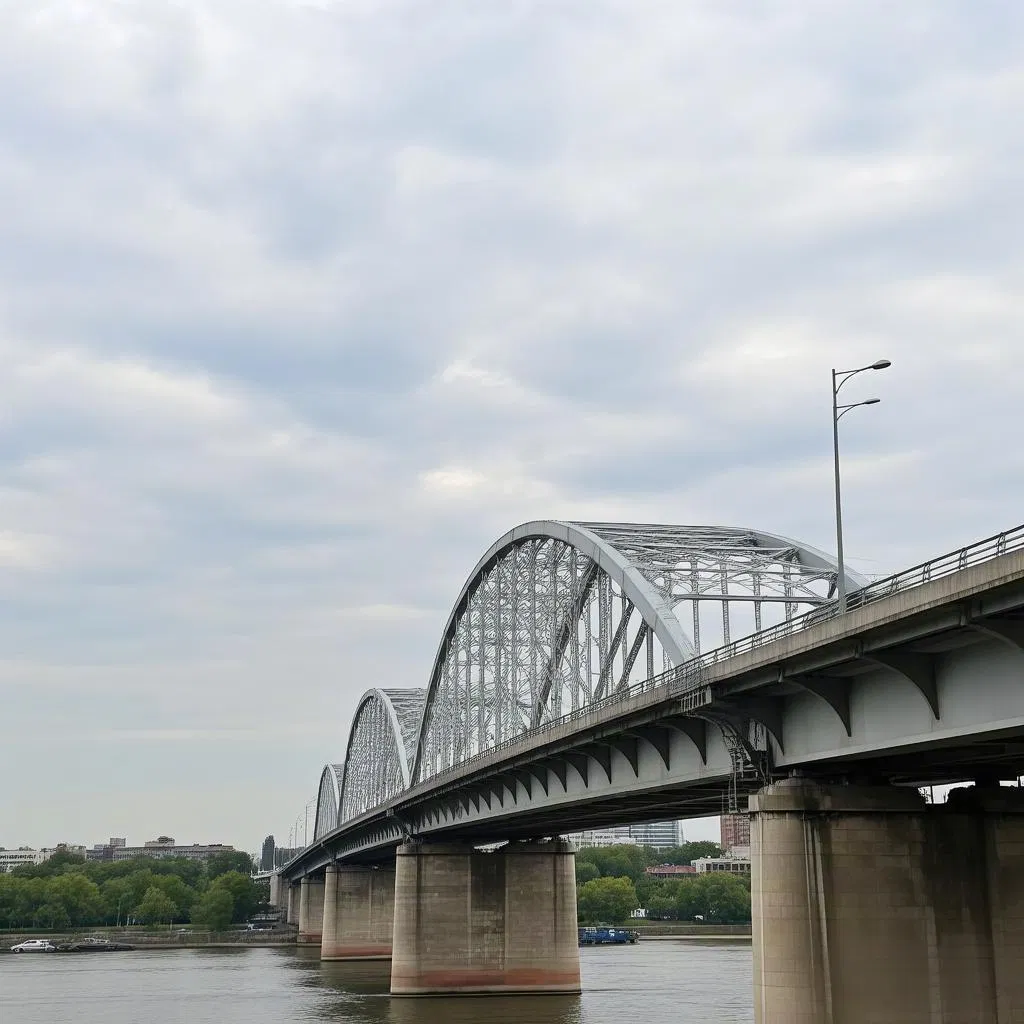 Seismic-Resistant Steel Frame Bridge for Earthquake-Prone Areas